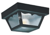 One-Light Outdoor Ceiling Light Fixture - 7567-32 - bulbs.com