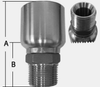 SHF71 SERIES - STAINLESS STEEL MALE PIPE -- SHF71-08-08MP - Image