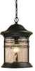 Exterior -Hanging - 61492 - Light Center (The)