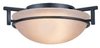 6262-FM DNI Flush Mounts-Bowl Style - 618875 - Capital Lighting, Inc.
