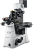 XE-Bio - Image