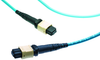 Mpo Cxp Ribbon Loopback Fiber Optic Cable Assembly; Fibre Optic Connector A Te Connectivity - 65T1025 - Newark, An Avnet Company