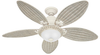 Caribbean Breeze - 54" - 21648 - Hunter Fan Company