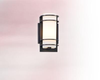 Exterior -Wall Mt./Flush - 45009 - Light Center (The)