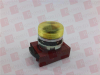 Pilot Light - 12256606 - Radwell International