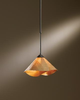 18455-312-07-719 Pendants-Other - 363177 - Capital Lighting, Inc.