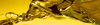 Shell Fuels -  - Shell Lubricants