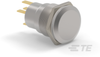 Push Button Switches -- 2-2213767-6 - Image