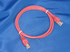 Cat6 4P UTP STR 24AWG RD-2' - J2042-0002 - JEM Cable & Fiber
