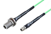 N Female Bulkhead to SMA Male Low Loss Cable 50 CM Length Using PE-P160LL Coax - PE3C5274-50CM - Pasternack