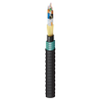 Indoor/Outdoor Riser Heavy Duty Loose Tube OM1 48 Fibers - FD1H0485G - Belden Inc.