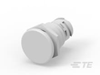 Push Button Switches - K1158148 - TE Connectivity