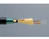 Armored Cable -- FS09-AR06-LRB - Image