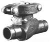 Check Valve -- 713-2IN-E - Image