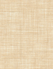 Scrim the Surface Fabric - 9066/01 - Pollack