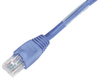 30-ft. BL CAT5e 350MHz Solid Conductor Backbone Cable UTP CM - EYN851MS-0030 - Black Box