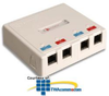 Siemon MX-SM 4 Port Surface Mount Boxes - MX-SM4 - TelephoneStuff.com