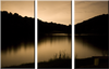 Silent Pictures® - Image