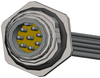 Sensor Cord, 8P M12 Plug-Free End, 6; Connector Type A Norcomp - 17AH5403 - Newark, An Avnet Company