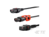 IEC Power Cords -- 814801-SF - Image