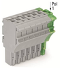 Terminal Blocks - Headers, Plugs and Sockets - 2946-2022-107/000-036-ND - DigiKey
