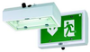 Compact Sheet-steel Emergency Light Fitting -- 6118 - Image