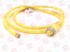 QD Cable/Cord Set - 62992800 - Radwell International