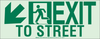 Brady Bradyglo B-523 Polyester Rectangle Gray Exit Sign - 18 in Width x 7 in Height - Glow in the Dark, Laminated - TEXT: EXIT TO STREET - 81839 - 754473-81839 - R. S. Hughes Company, Inc.
