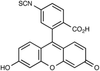 Fluorescein 6-Isothiocyanate, Isomer 2, 95% - 10276 - Medical Isotopes, Inc.