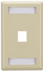 1-Port Ivory Single-Gang Keystone Wallplate - WPT454 - Black Box