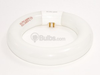 20 Watt, 6.5" Diameter Warm White T9 Circline Bulb -- TEC32020 - Image