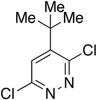4-tert-Butyl-3,6-dichloropyridazine - 7973 - Medical Isotopes, Inc.