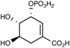 Shikimate-3-phosphate - 13470 - Medical Isotopes, Inc.