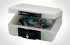 Fire Chest - 1160 - Sentry Group