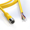 Shielded 12mm, 8-pin, 8 wire, 2M cable assembly - Tri-Tronics Company, Inc.