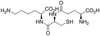 L-?-Glutamyl-L-cysteinyl-L-lysine - 10541 - Medical Isotopes, Inc.