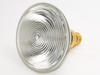 45 Watt, 120 Volt Halogen PAR38 Flood -- 202317 - Image