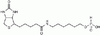 6-N-Biotinylaminohexyl Hydrogenphosphonate - 4715 - Medical Isotopes, Inc.