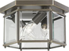 Flush Mounts-Cage Style - 3558 - Light Center (The)