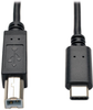 USB 2.0 Cable, USB Type-B Male to USB Type-C (USB-C) Male, 6-ft. -- U040-006 - Image