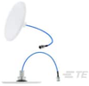 Antennas - CFSA69383P-30NF - TE Connectivity
