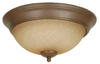Flush Mounts-Bowl Style - 395458 - Light Center (The)