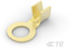 Ring Terminals - 40951 - TE Connectivity