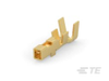 Connector Contacts - 1827589-2 - TE Connectivity