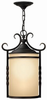 Exterior -Hanging - 84908 - Light Center (The)