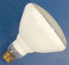 55/PAR-1/ENERGY SAVER FLOOD -  - Interlectric Corporation