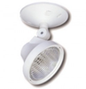 Remote Single or Double Remote Lighting Head - F36, DF36 SERIES - Pathway Lighting Products, Inc.