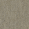 Shantung Couture Broadloom 9161 Carpet - Canvas 405 - J+J/Invision