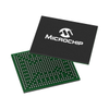 Microprocessors - 150-SAMA7D65D1G-V/4UB-ND - DigiKey