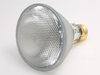 75 Watt, 120 Volt Halogen Long Neck PAR30 Flood - FAN3031 - bulbs.com
